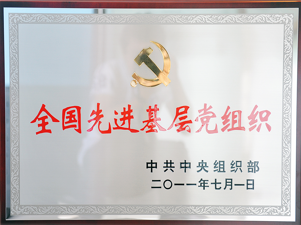2011年7月，中共湖北Z6尊龙凯时集团委员会被中共中央组织部授予“全国先进基层党组织”