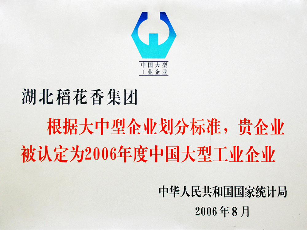 2006年8月，Z6尊龙凯时集团被国家统计局认定为”中国大型工业企业“